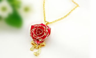 黛雅镀金真玫瑰花项链花朵吊坠女饰品首饰长款锁骨项链女友礼物 款式八 厂家直销图片,黛雅镀金真玫瑰花项链花朵吊坠女饰品首饰长款锁骨项链女友礼物 款式八 厂家直销高清图片