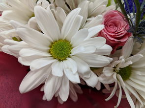 花语传情 从自然之美到浪漫礼品的花卉销售艺术