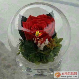 保鲜花与永生花 礼品花卉销售的新趋势与商机