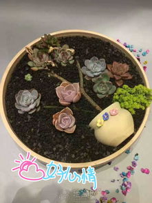 DIY分类指南与礼品花卉销售策略