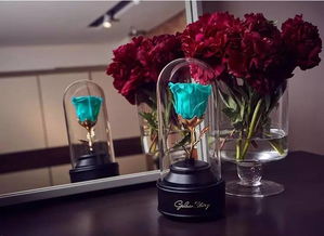 9折优惠丨送她一份永不凋谢的英式花礼，让陪伴再久一点