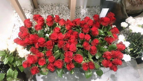 探店日记丨520礼物首选，花所为你精心准备，送给心爱的她