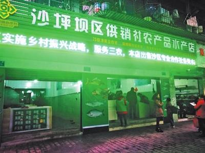 打通农产品流通最后一公里——沙区供销社农产品水产、花卉店正式开业